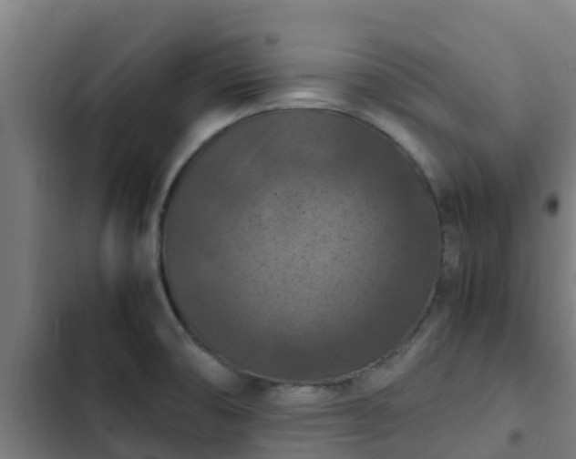 X0000103141474200808291327