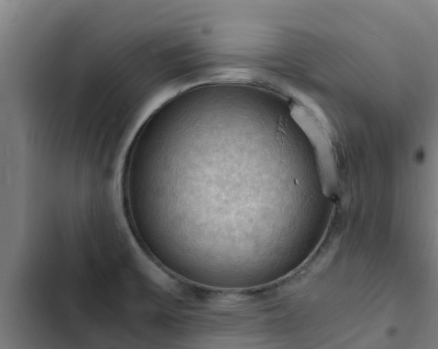 X0000103141475200808291327