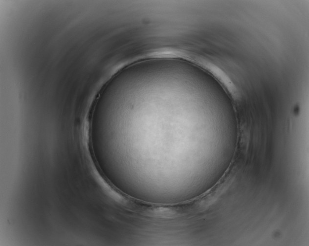 X0000103141476200808291327