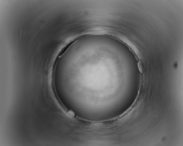 X0000103141477200808291327