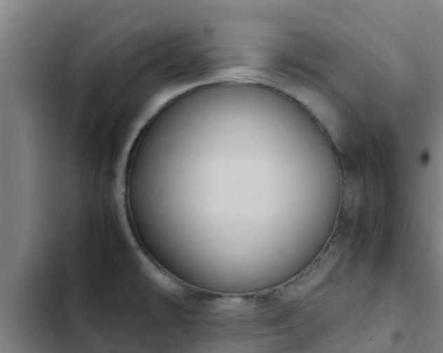 X0000103141478200808291327