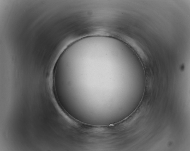 X0000103141479200808291327