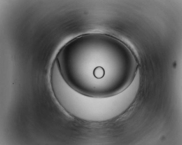 X0000103141480200808291327