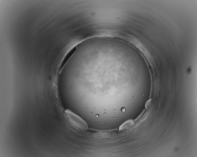 X0000103141481200808291327