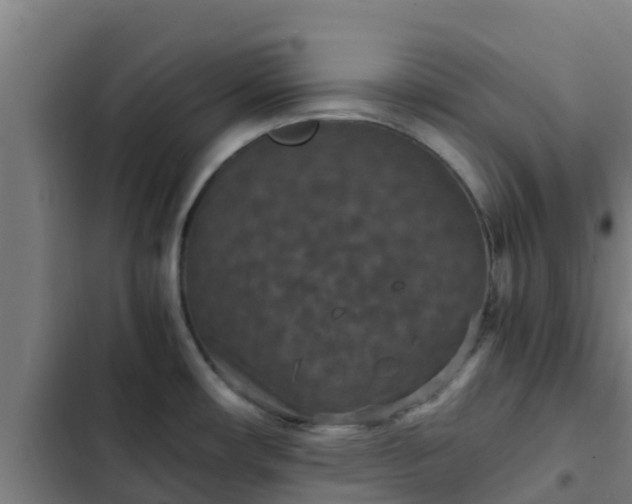 X0000103141482200808291327