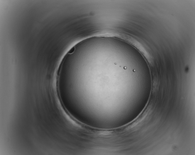 X0000103141484200808291327