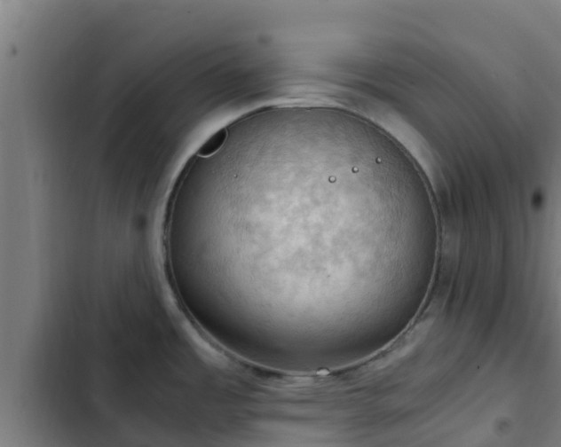 X0000103141485200808291327