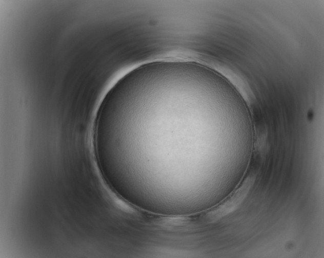 X0000103141486200808291327