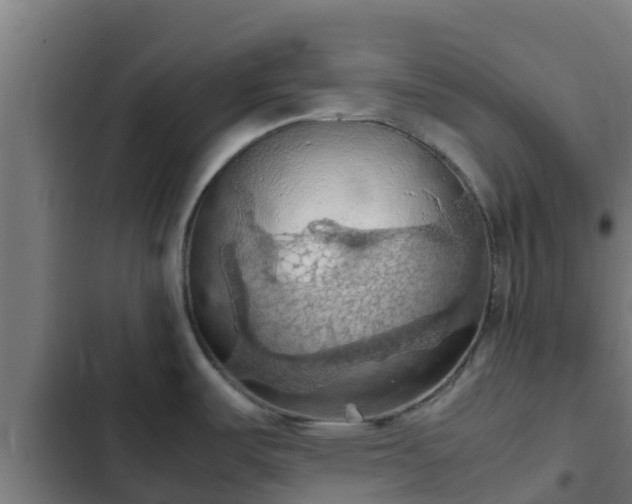 X0000103141487200808291327