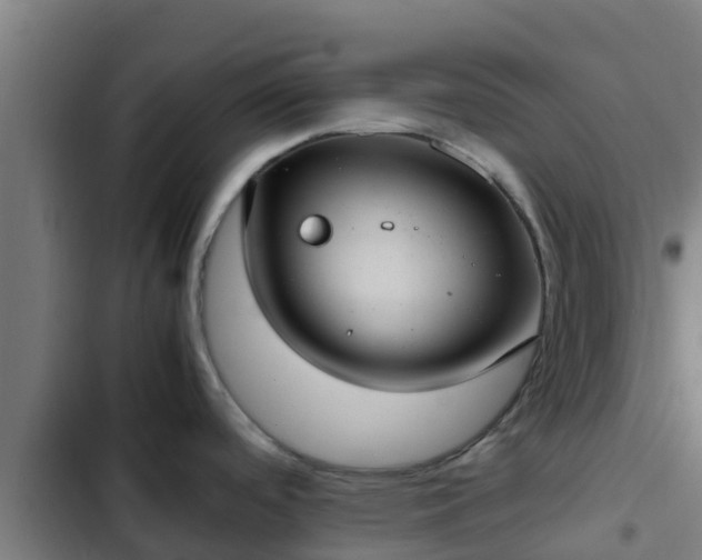 X0000103141488200808291327