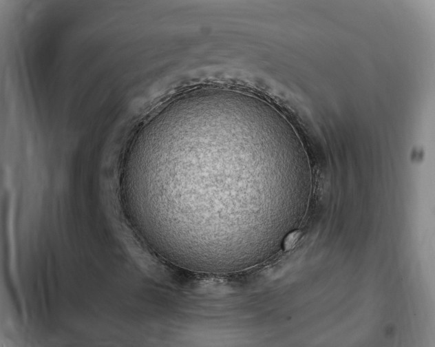 X0000103141489200808291326