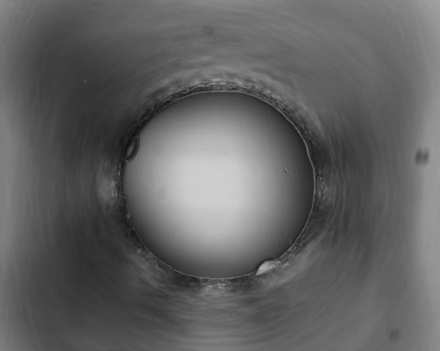 X0000103141490200808291326