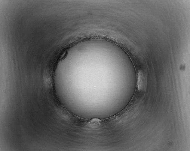 X0000103141491200808291326