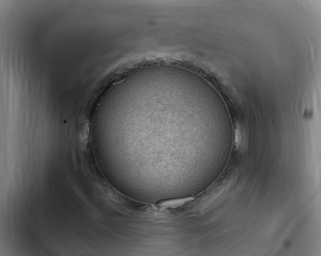 X0000103141492200808291326