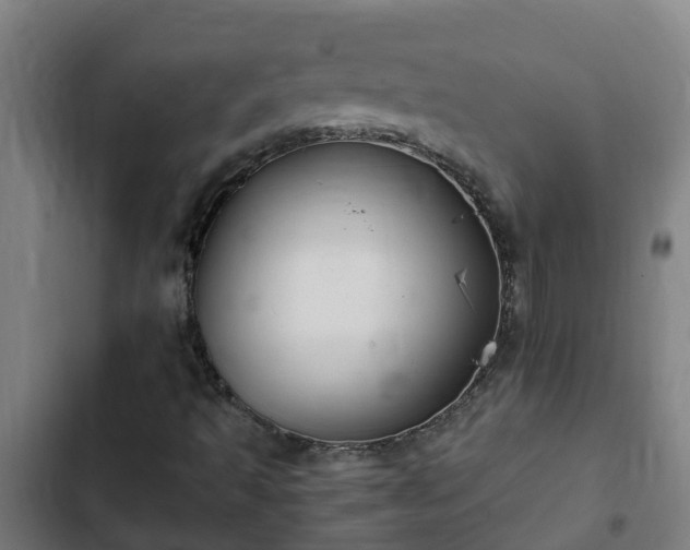 X0000103141493200808291326