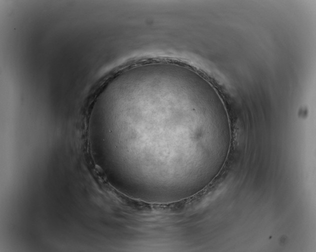 X0000103141494200808291326