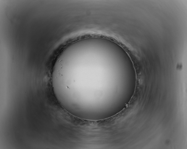 X0000103141495200808291326