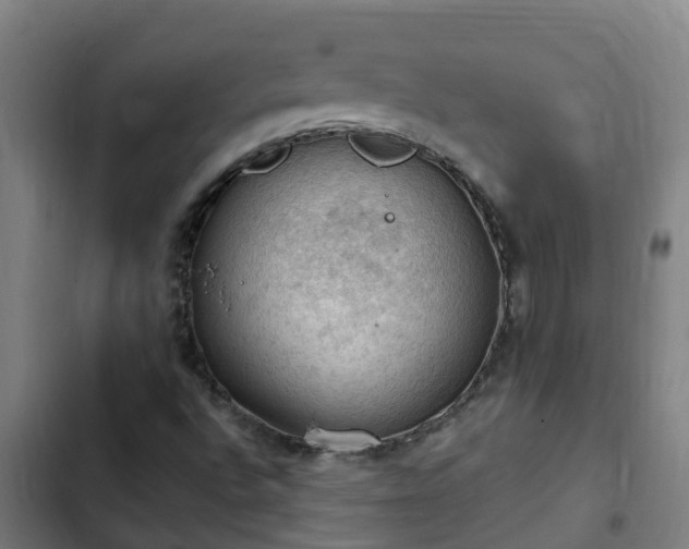 X0000103141496200808291326