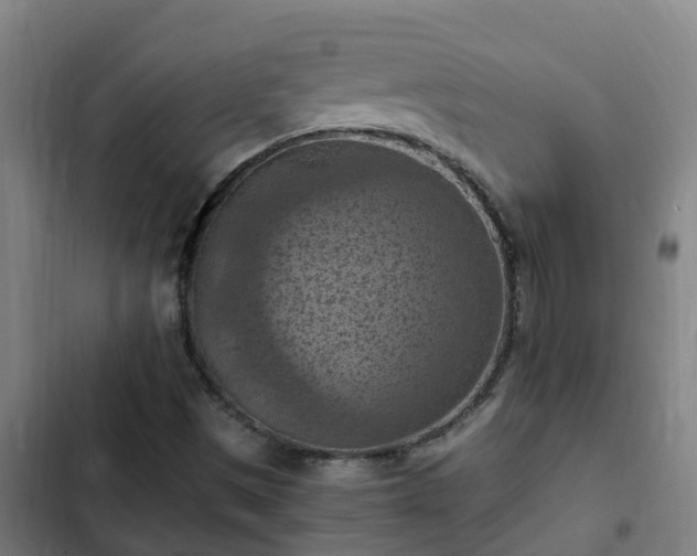 X0000103141497200808291326