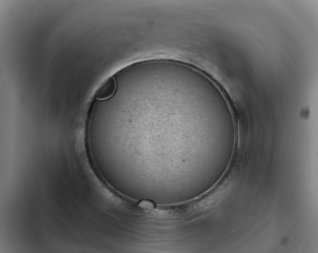 X0000103141500200808291326