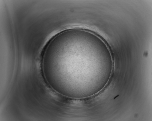 X0000103141501200808291326