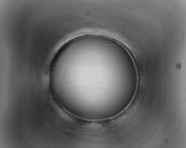 X0000103141503200808291326