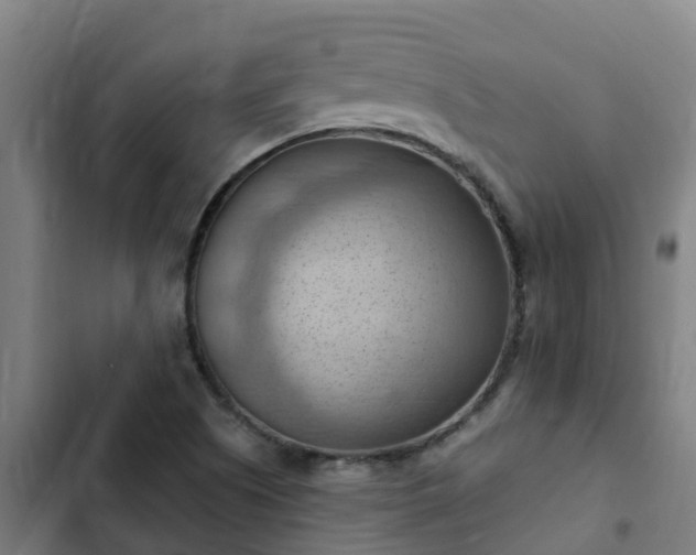 X0000103141505200808291326