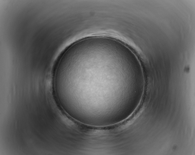 X0000103141506200808291326