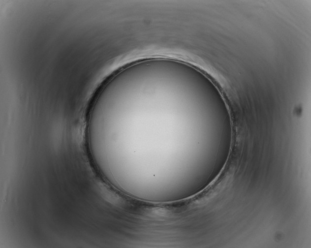 X0000103141507200808291326