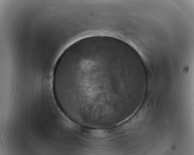 X0000103141508200808291326