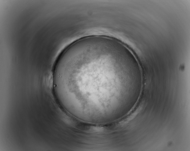 X0000103141509200808291326