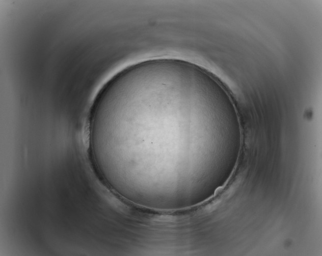 X0000103141510200808291326