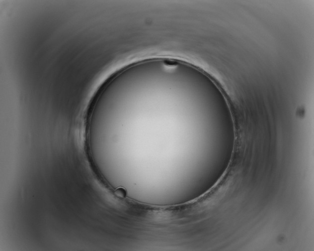 X0000103141511200808291326