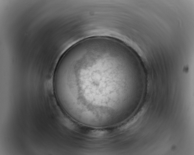 X0000103141513200808291326