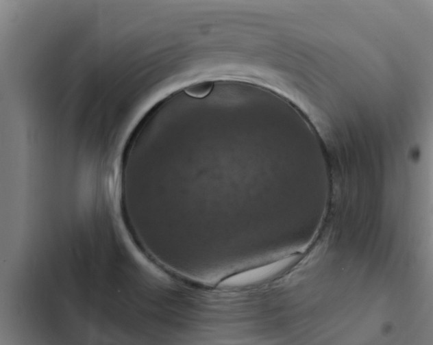 X0000103141515200808291326