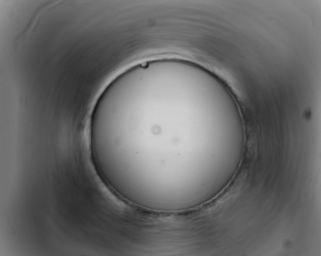 X0000103141516200808291326