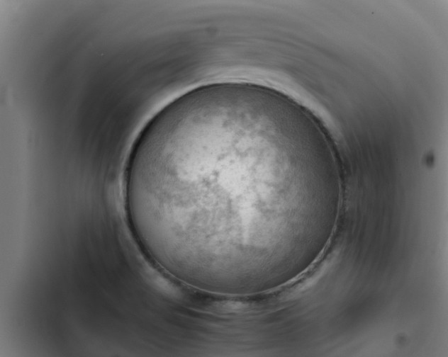 X0000103141517200808291327