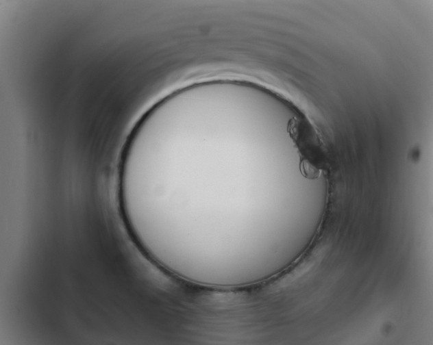 X0000103141518200808291327