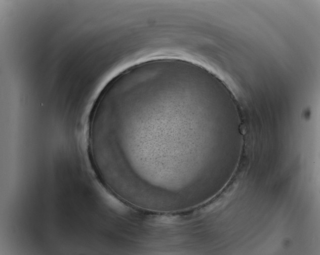 X0000103141519200808291327