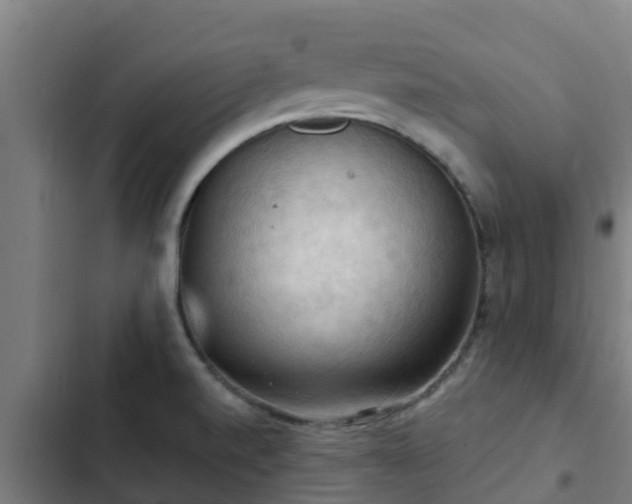 X0000103141520200808291327