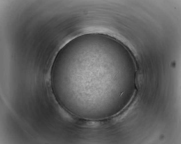 X0000103141521200808291327