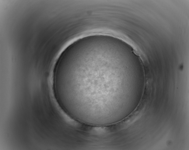 X0000103141523200808291327