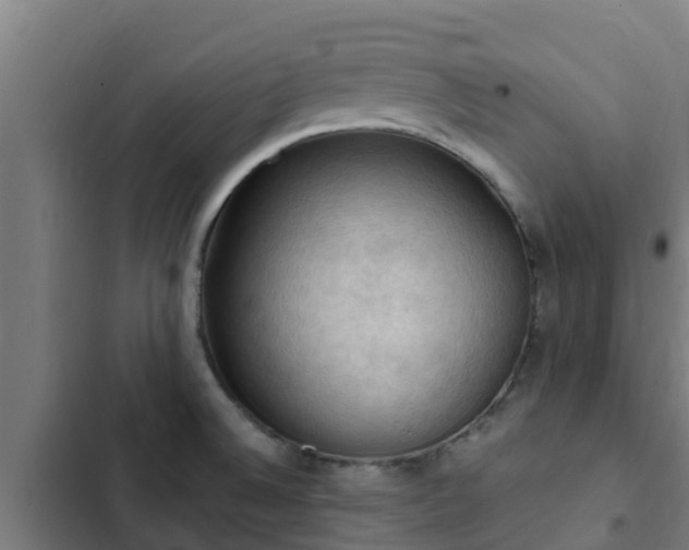 X0000103141524200808291327