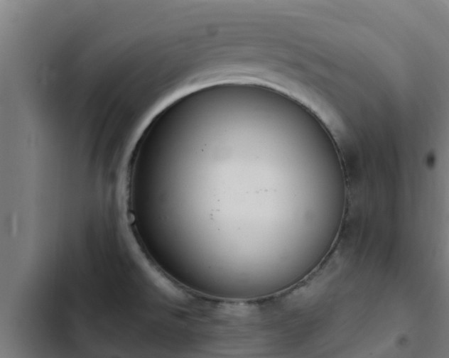 X0000103141526200808291327