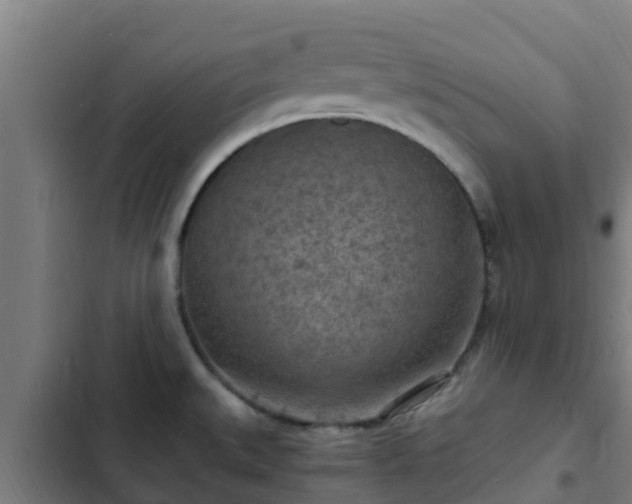 X0000103141527200808291327