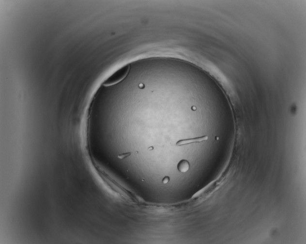 X0000103141528200808291327