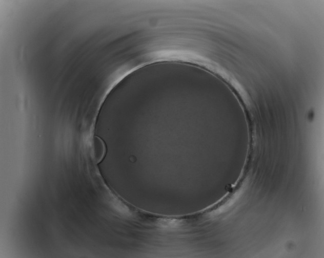 X0000103141529200808291327