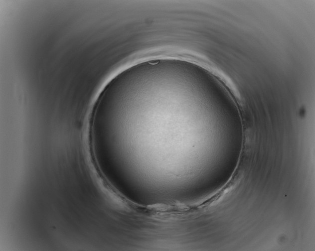 X0000103141530200808291327