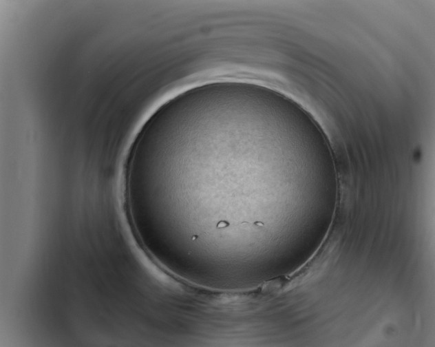 X0000103141531200808291327