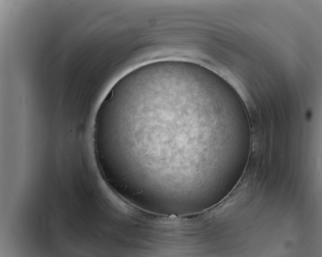 X0000103141532200808291327